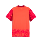 SE Palmeiras Jersey Replica [Glowing Red/Dark Crimson]
