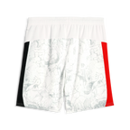 Man City FC Shorts Replica [puma white/puma black]