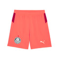 SE Palmeiras SHORTS REPLICA[Glowing Red/Dark Crimson]